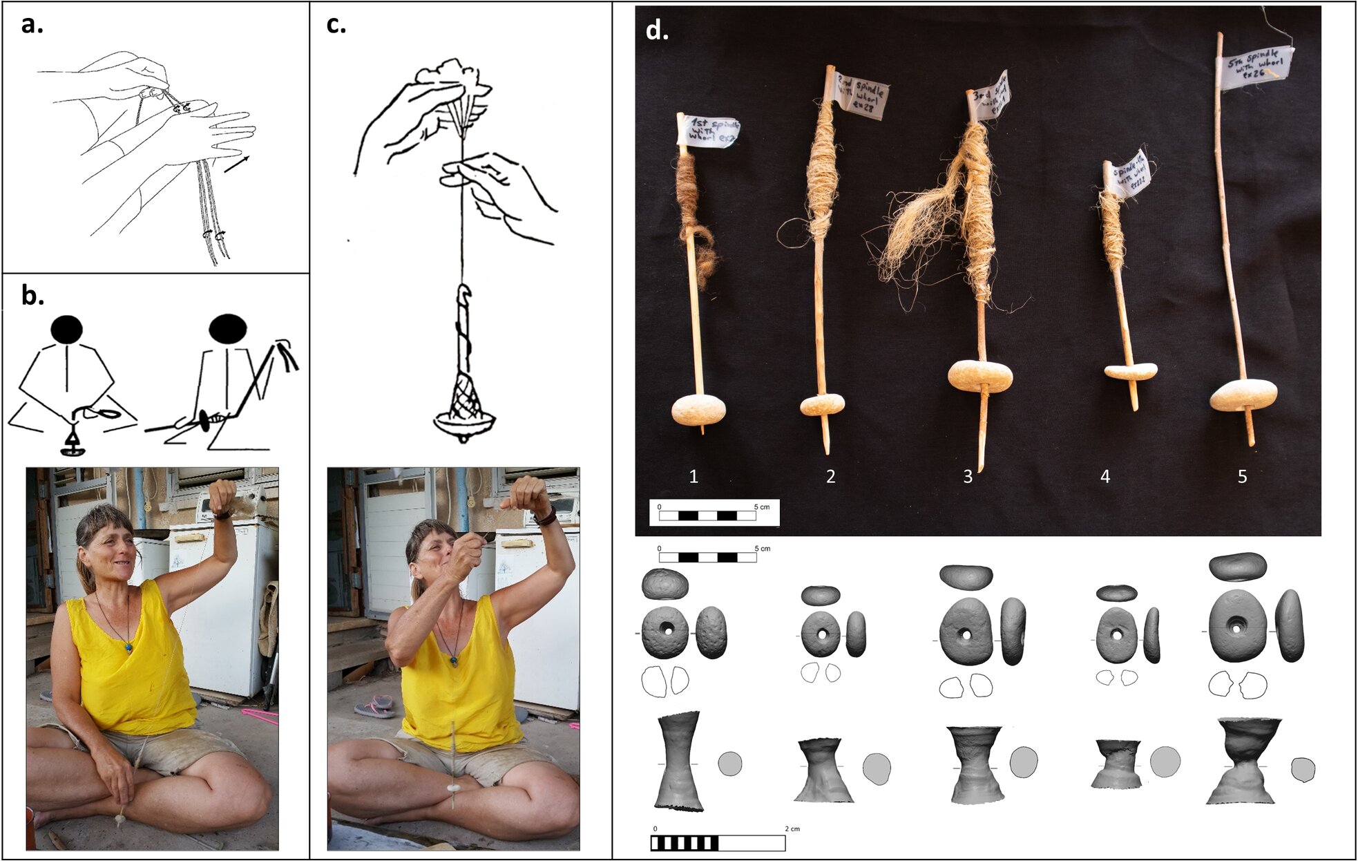 Metode pemintalan. (a) Memutar paha secara manual [64]; (b) Spindle-and-whorl "pemintalan yang didukung" [68]; (c) "pemintalan jatuh" [66]; (d) gelendong dan pusaran eksperimental.