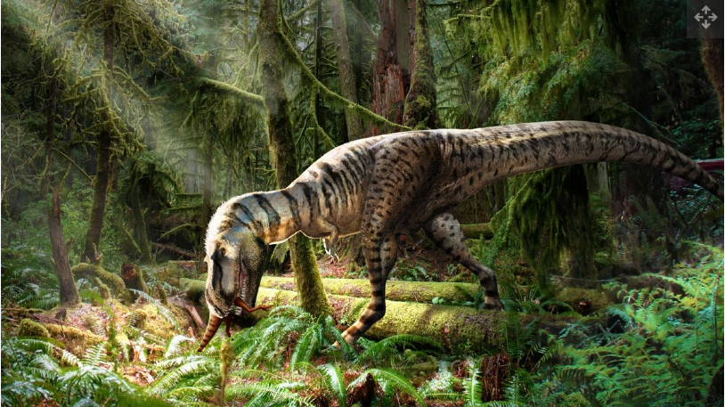 Ini adalah pertama kalinya para peneliti menemukan fosil mangsa di dalam perut seekor tyrannosaurus.