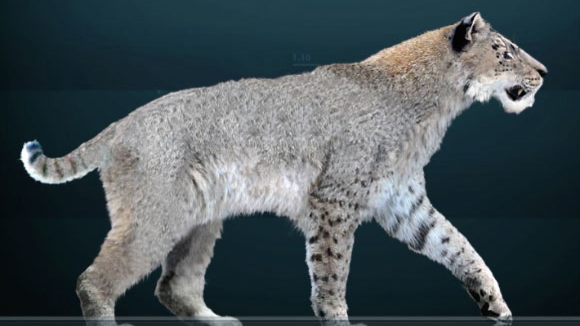Homotherium serum