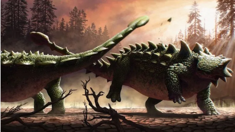 Interpretasi seorang seniman tentang ankylosaurus yang melakukan kerusakan besar dalam pertempuran.