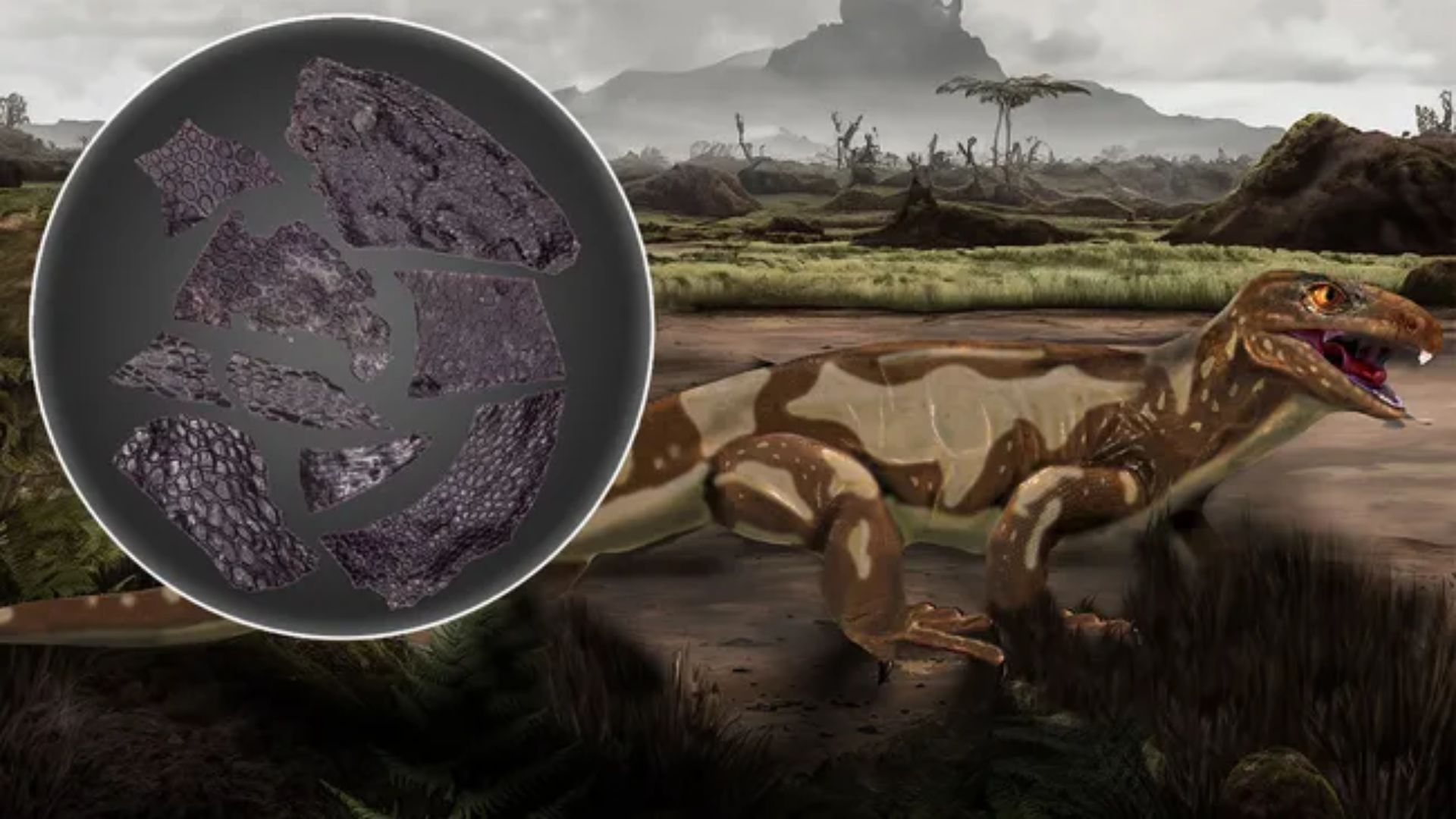 Kesan seniman mengenai makhluk mirip reptil (Artist impression (Michael deBraga) and skin fossil image (Current Biology Mooney et al))