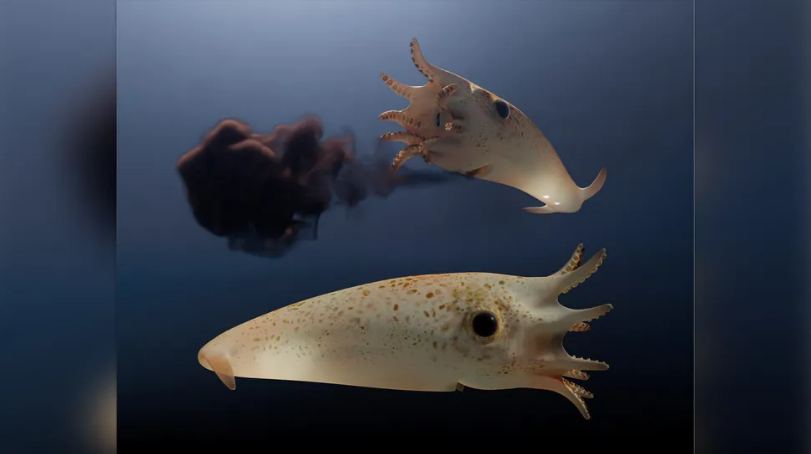 Rekonstruksi hipotesis dari atramentum Vampyrofugiens.