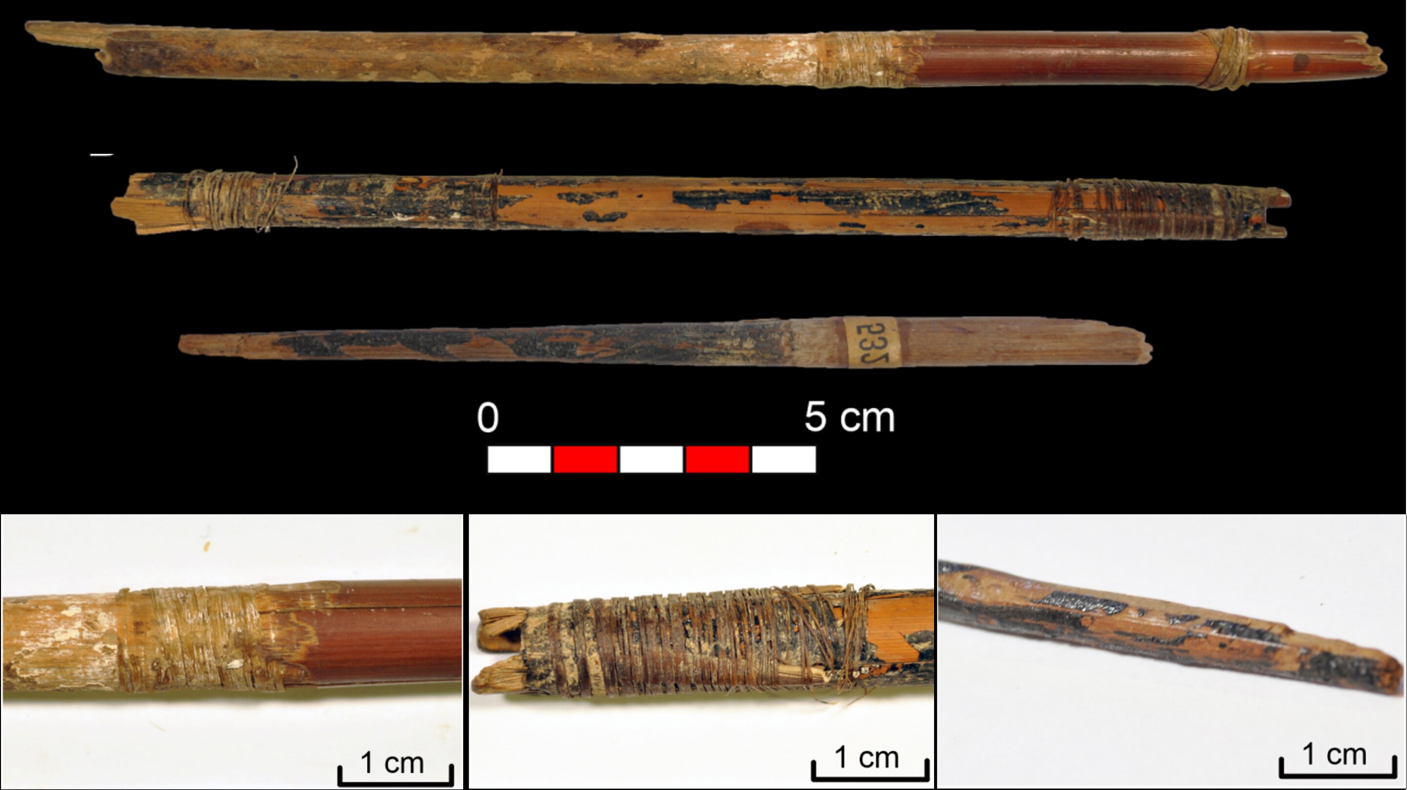 Tiga anak panah Neolitikum yang ditemukan dari Gua Los Murci&eacute;lagos di Albu&ntilde;ol: buluh dan kayu (atas) dan rincian serat otot yang diikat, bulu dan kulit kayu birch (bawah).
