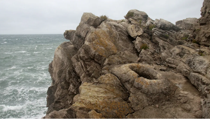 Hutan Fosil berada di tepi tebing di Jurassic Coast, Inggris.