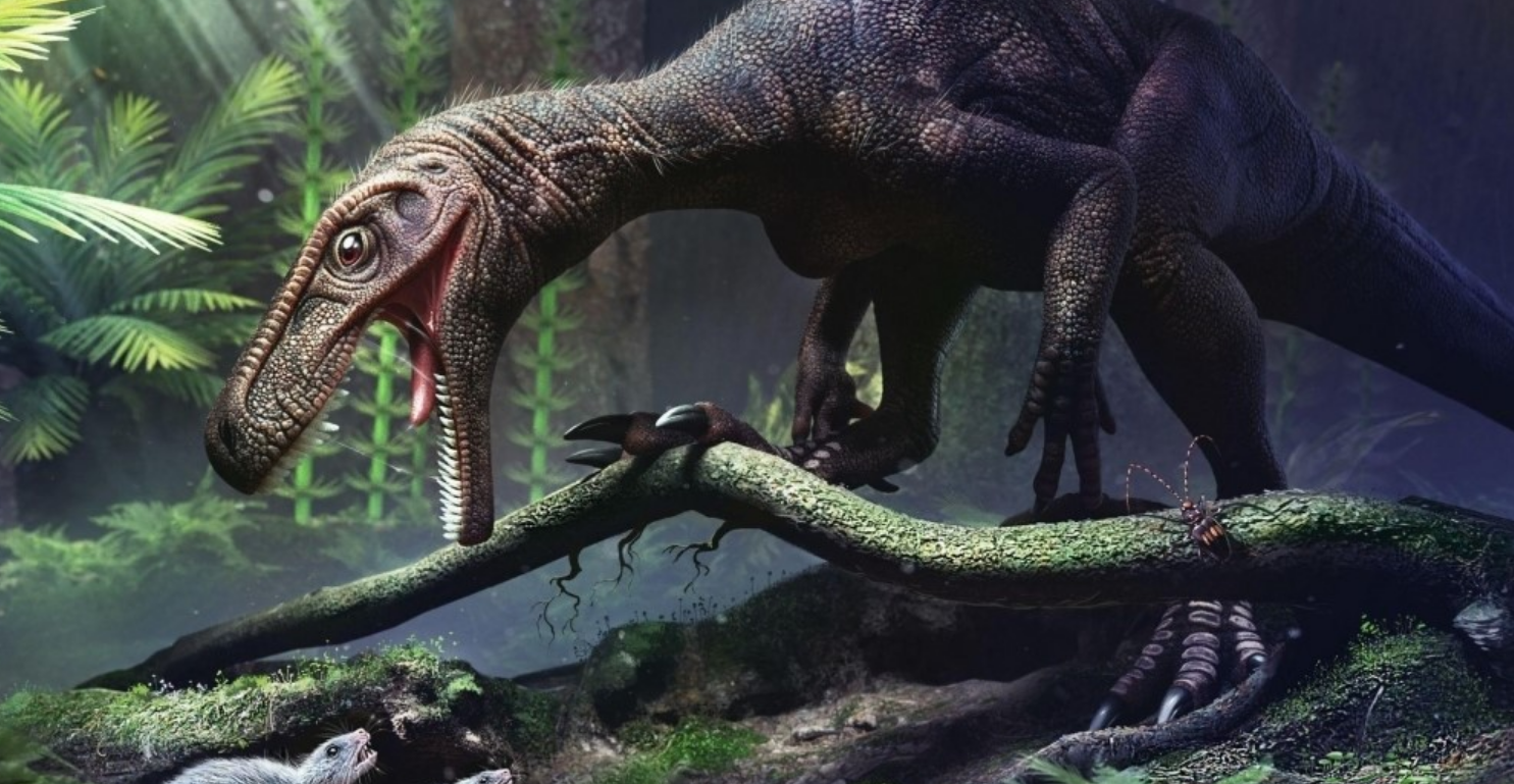 Herrerasaurid Gnathovorax cabreirai, yang sisa-sisa fosilnya dianalisis oleh para peneliti bersama dengan dua dinosaurus sauropodomorf, tidak menunjukkan adanya jejak kantung udara.