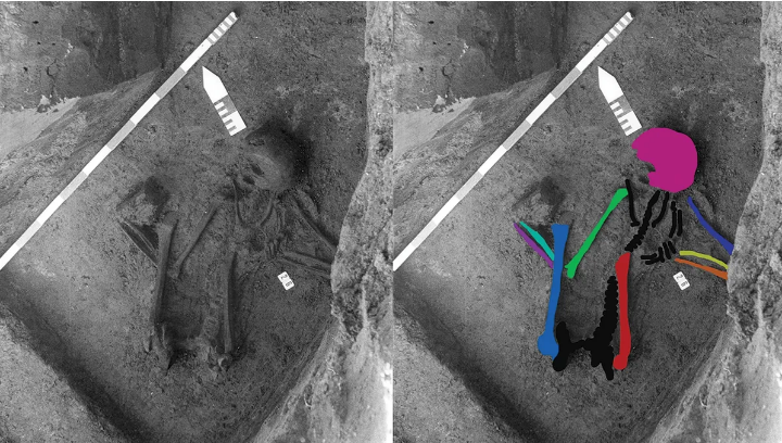 Sebuah kuburan Neolitikum di Pommer&oelig;ul, Belgia, yang berisi tulang belulang setidaknya lima orang. Warna menunjukkan tulang-tulang yang diuji untuk analisis DNA.