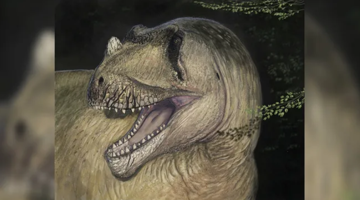 Rekonstruksi seniman dari Tameryraptor markgrafi.