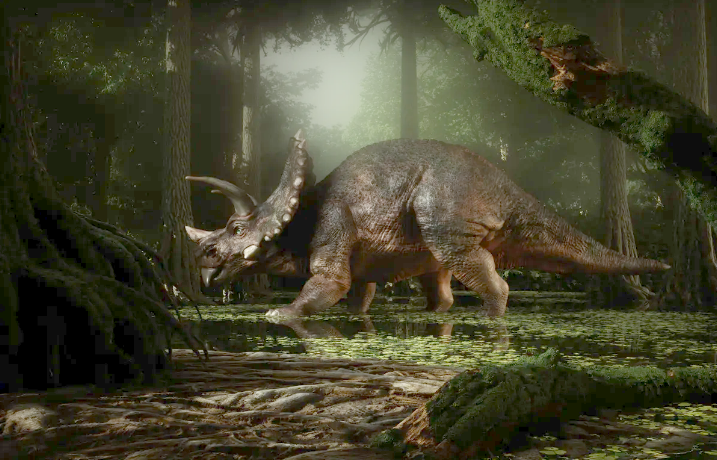 Triceratops memiliki ukuran yang mirip dengan gajah Afrika, dengan panjang hingga 30 kaki.