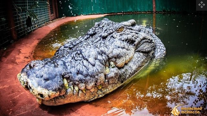 Cassius bisa jadi lebih besar dari yang kita duga.