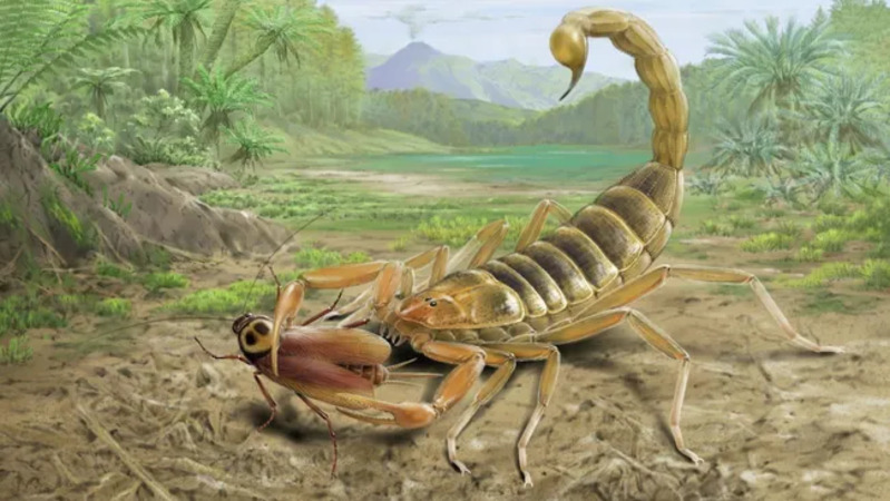 Jeholia longchengi berukuran sekitar 4 inci (10 cm) dan merupakan spesies kunci dalam rantai makanan ekosistem Cretaceous. (Kredit gambar: NIGPAS)