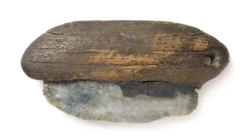 Alat batu budaya Pfyn dengan gagang kayu dari sekitar 3800 SM. (Kredit gambar: Matthias Hoffmann / Arch&auml;ologisches Landesmuseum Baden-W&uuml;rttemberg)