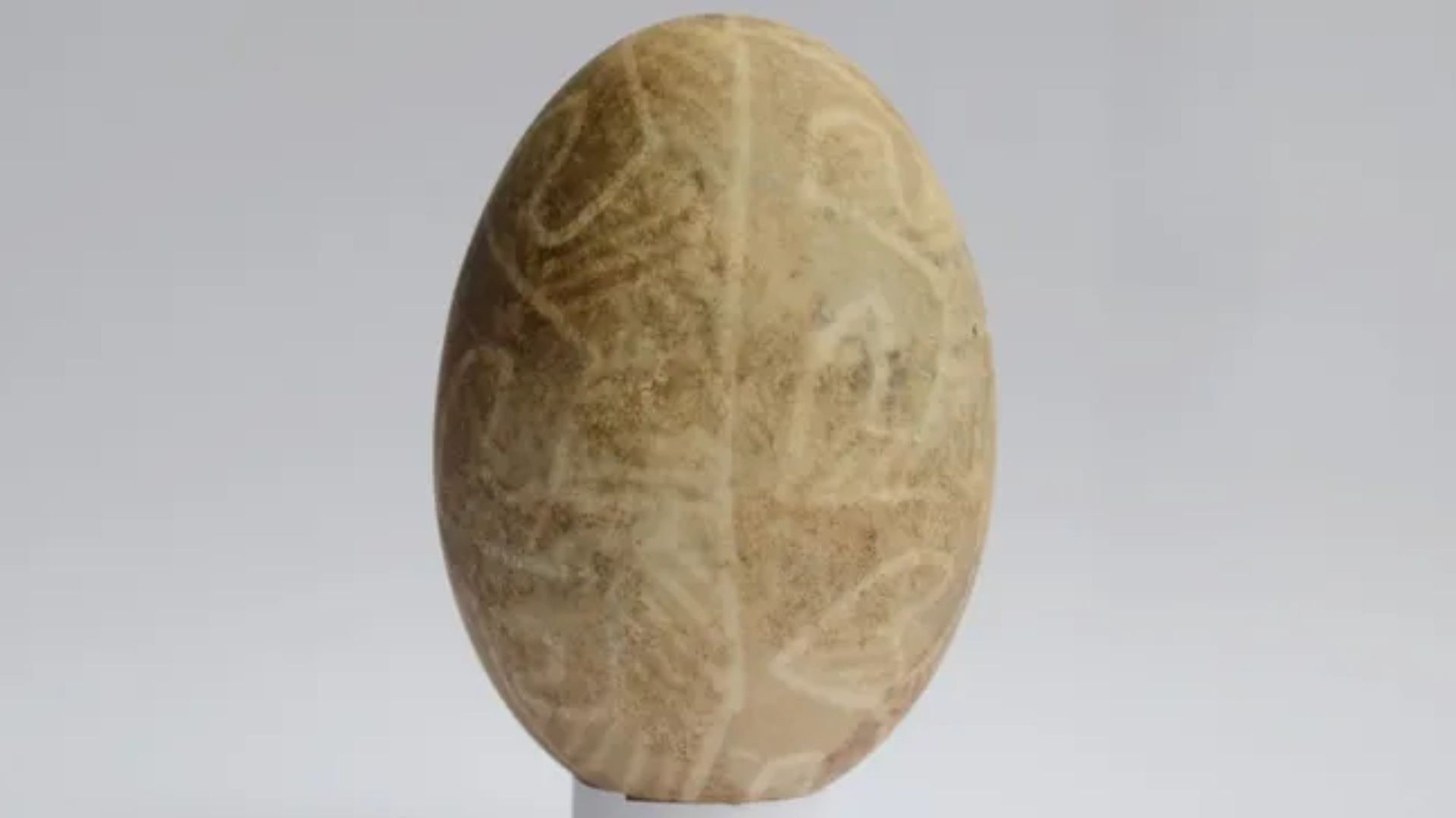 telur dengan hiasan tertua didunia (credit : Rescue Archaeological Service at the Ukrainian National Academy of Sciences