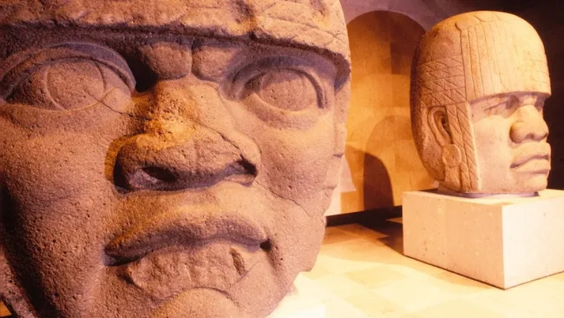 Dua kepala Olmec dipajang di Museum Antropologi Jalapa di Xalapa, Meksiko. (Kredit gambar: Peter M. Wilson via Alamy)