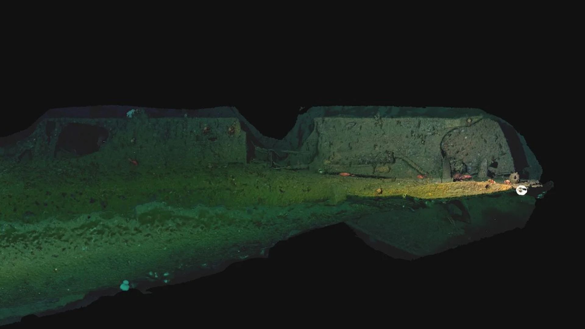 Rekonstruksi fotogrametri kapal selam USS F-1 yang menunjukkan buritan dan baling-baling kapal selam. (credit : Zoe Daheron, &copy;Woods Hole Oceanographic Institution)