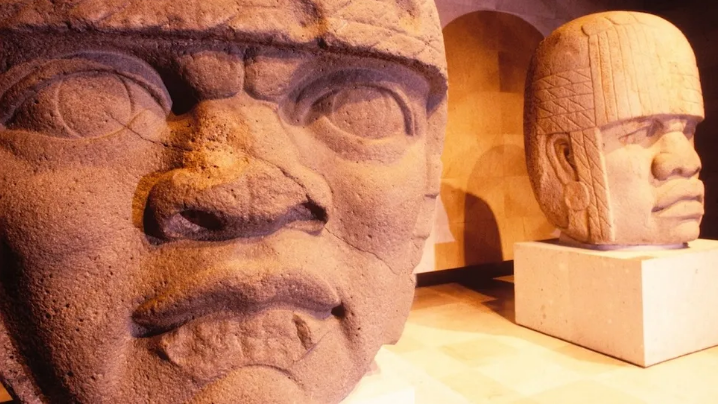 Dua kepala Olmec dipajang di Museum Antropologi Jalapa di Xalapa, Meksiko.
