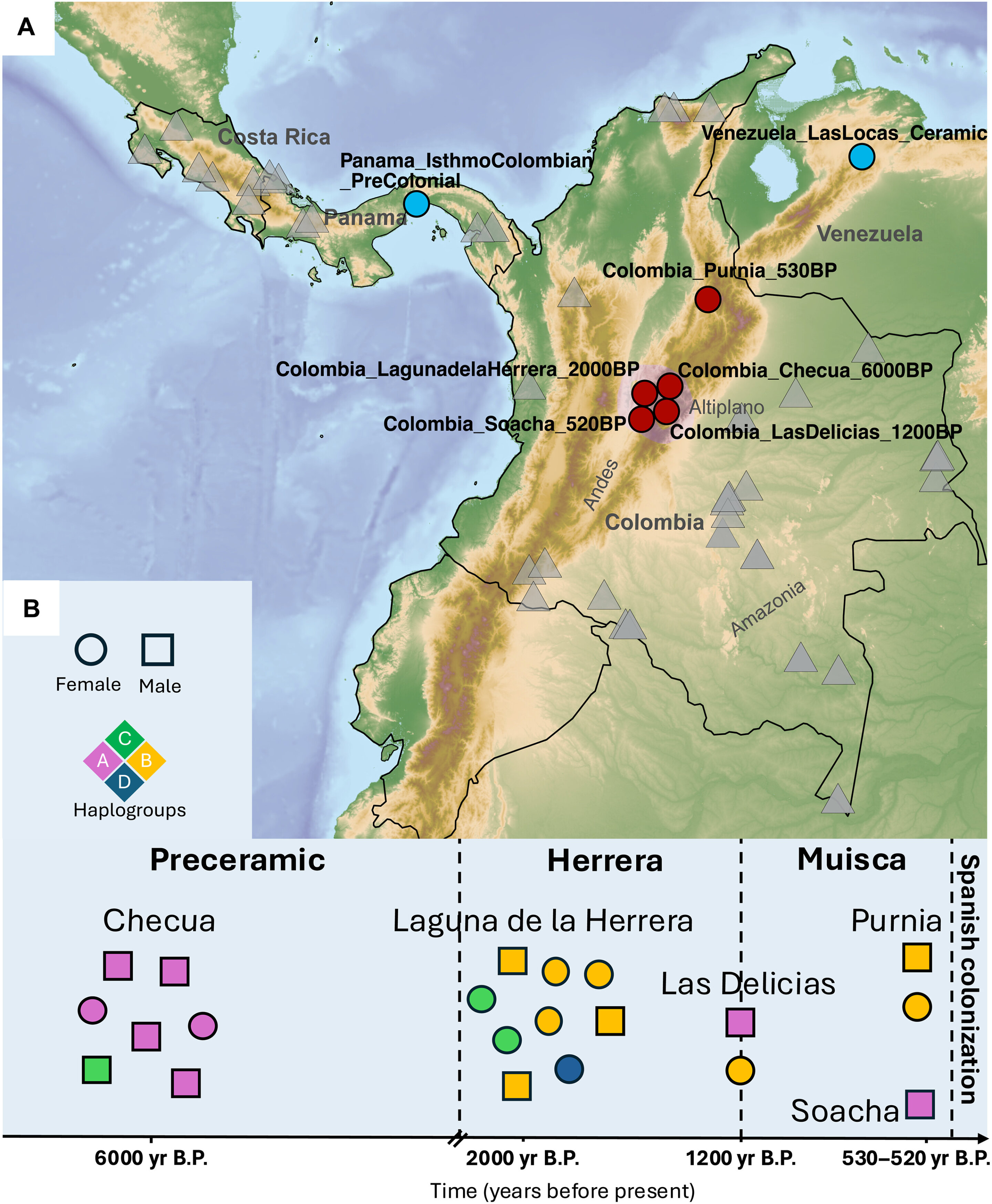 Kerangka geografis dan temporal dari individu kuno dan modern yang dianalisis.
