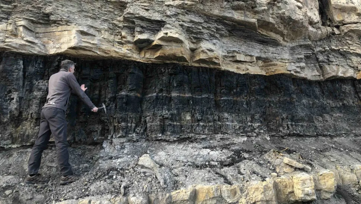 Michael Vanden Berg, ahli geologi dari Utah Geological Survey, memeriksa singkapan batu bara di dekat tambang tua Star Point di Utah.