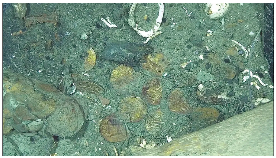 Rincian "tongkol" emas yang diamati dalam gambar ROV dari lokasi bangkai kapal mengindikasikan bahwa mereka berasal dari bangkai kapal harta karun San Jos&eacute; tahun 1708.