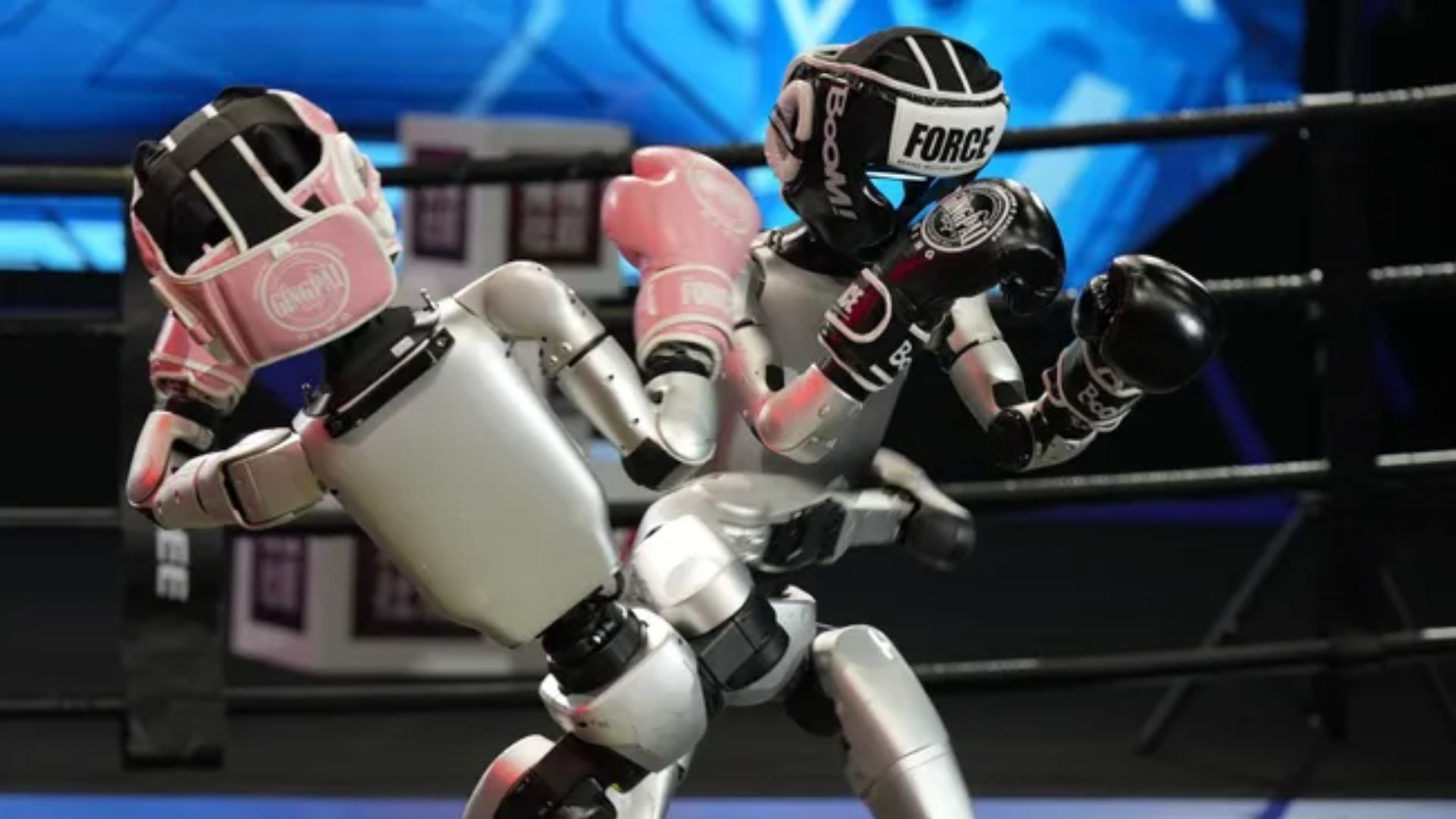 Dua robot humanoid Unitree G1 berlaga dalam kompetisi tinju pada bulan Mei ini. (credit: CMG)
