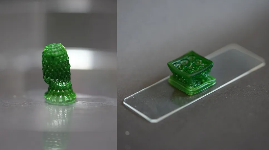 Para ilmuwan telah mengembangkan bahan "hidup" baru. Gambar sebelah kiri menunjukkan "nanas" yang dicetak 3D dengan ganggang biru-hijau yang tumbuh di dalamnya.
