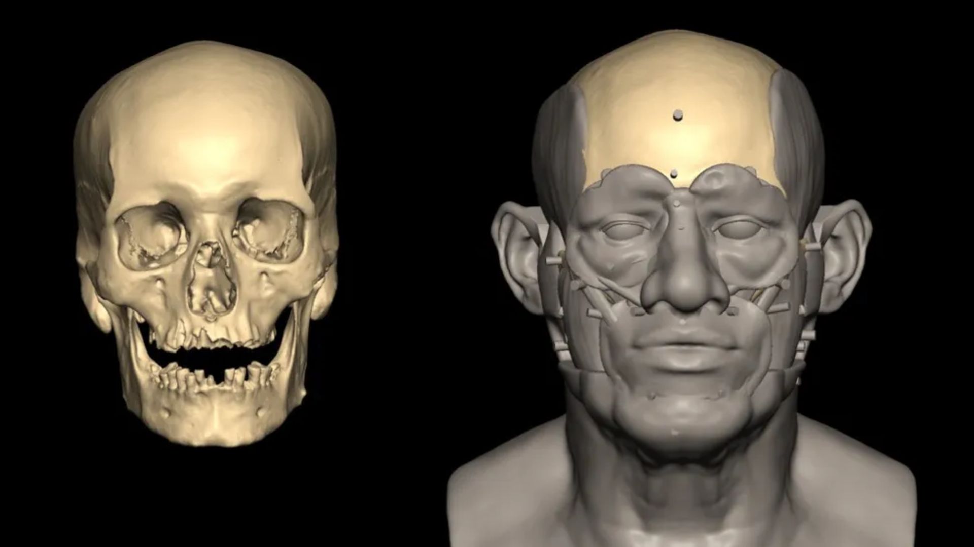 Rekontruksi wajah pria Mesir yang genomnya dapat dilacak hingga ke Mesopotamia kuno. (credit: Garstang Museum of Archaeology, University of Liverpool)