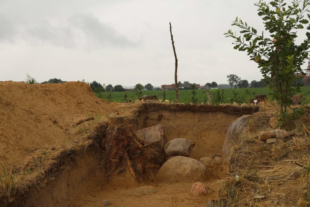 Penggalian makam di Taman Bentang Alam Chłapowski, Wyskoć, Polandia