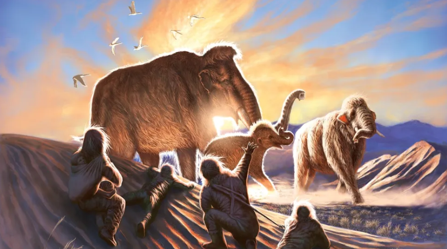 Tiga mammoth, termasuk seekor betina dewasa bernama Elma dan dua anak, diawasi oleh sebuah keluarga penduduk asli kuno di tempat yang sekarang disebut Alaska dari bukit pasir di dekat situs arkeologi