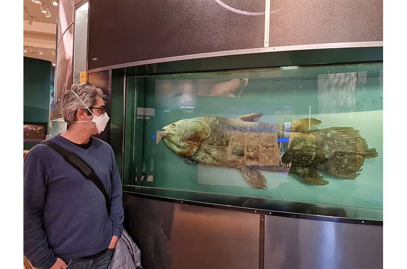 Salah satu penulis studi tersebut, Al&eacute;ssio Datovo, berpose di samping spesimen coelacanth yang dipamerkan di Museum Nasional Sejarah Alam Smithsonian Institution.