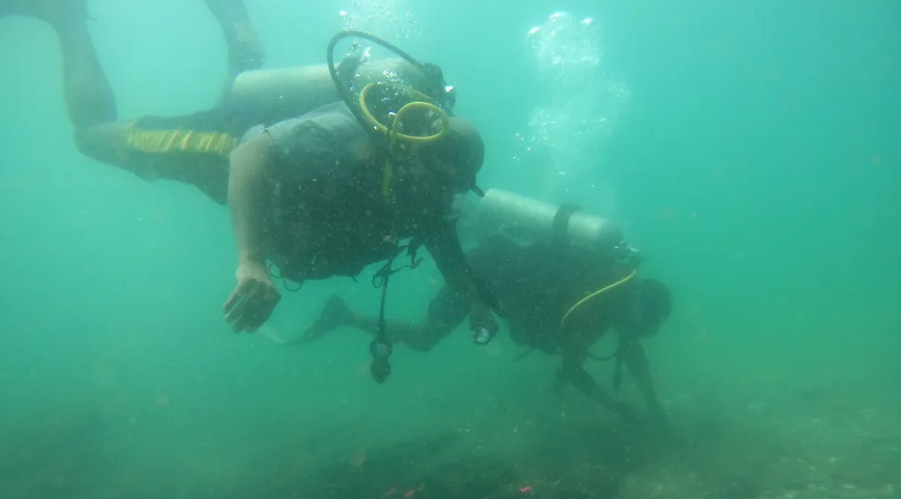Bangkai kapal ini terletak sekitar 1.600 kaki dari pantai, pada kedalaman sekitar 20 kaki; mungkin akan dikembangkan sebagai museum bawah laut untuk para penyelam. (Kredit gambar: Filipe Castro)