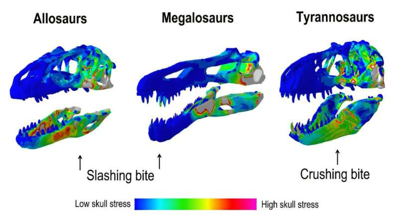 Ilustrasi gigitan dinosaurus.