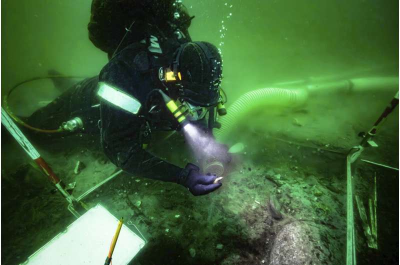 Seorang penyelam menggali pemukiman pesisir Zaman Batu berusia 8.500 tahun yang terendam oleh kenaikan permukaan laut di Teluk Aarhus, Denmark. 8 Agustus 2025.