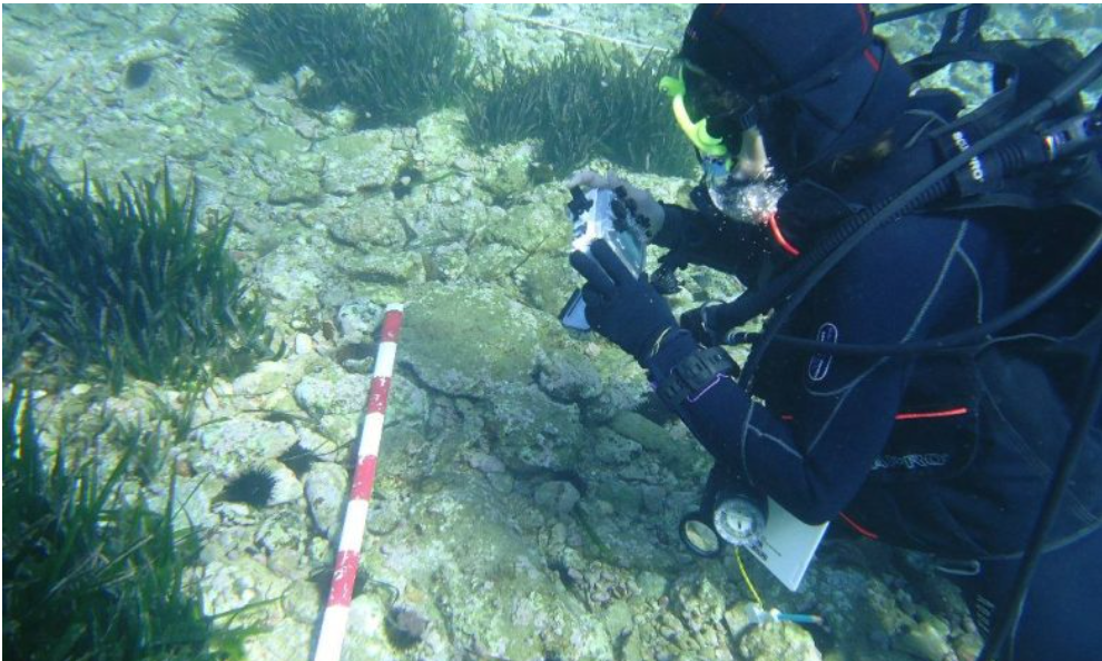 Underwater excavations in Tipasa: A new campaign begins to recover artifacts and explore the seabed.