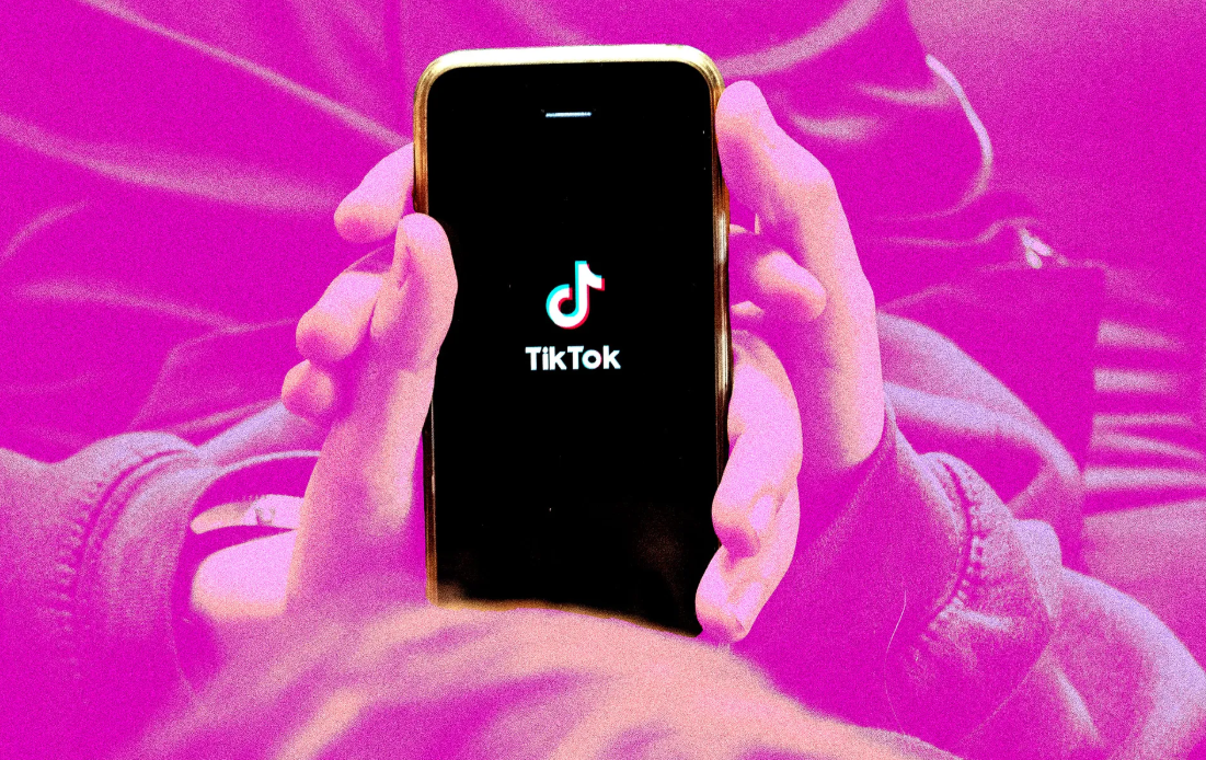 Ilustrasi aplikasi Tiktok