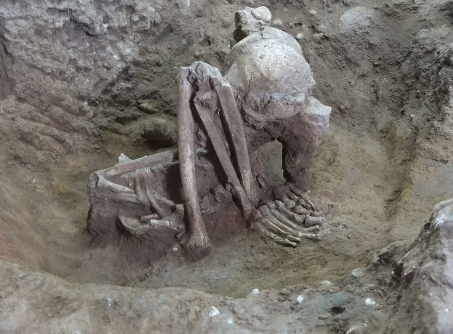 Tulang berusia 14000 tahun di Vietnam (image credit: Yousuke Kaifu and Hirofumi Matsumura / Courtesy Australian National University)