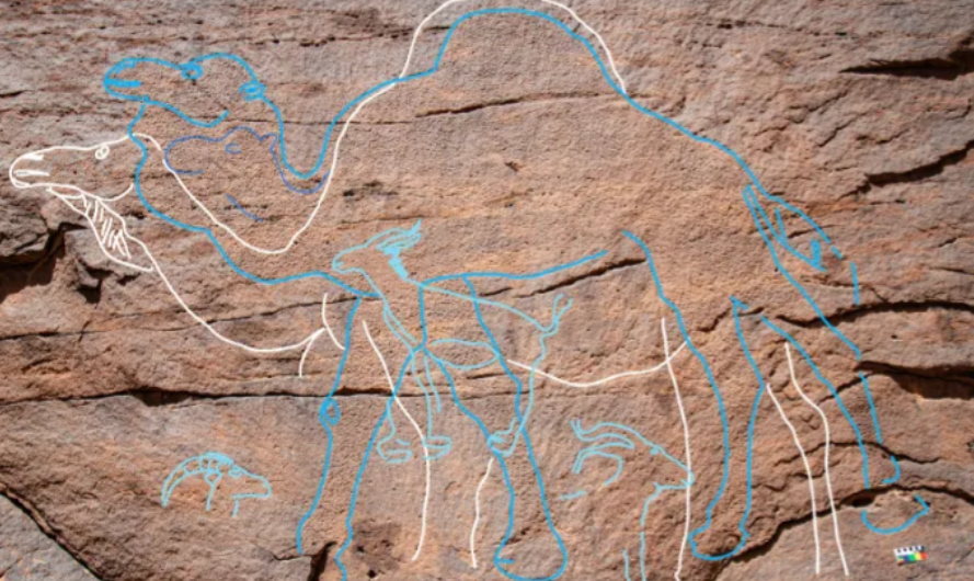 Para arkeolog menemukan 62 panel seni rock dengan 176 ukiran hewan dan manusia. (Image credit: Maria Guagnin)