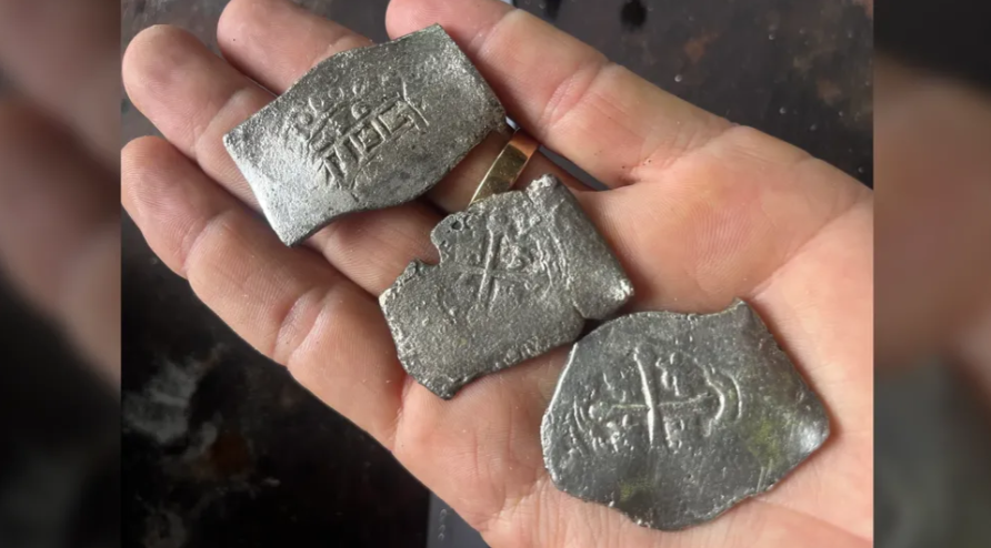Penyelam menemukan lebih dari 1.000 perak Reales dari kapal karam "Armada Treasure" 1715 musim panas. (Image credit: 1715 Fleet - Queens Jewels, LLC)