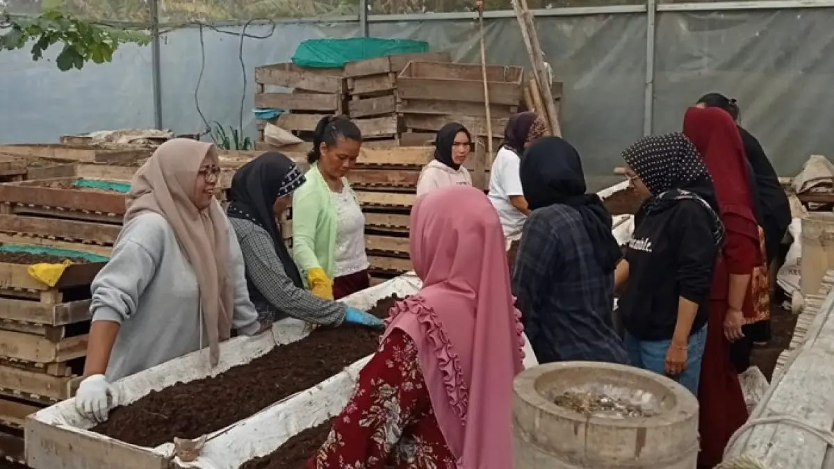 Usaha berbasis pertanian dan peternakan dengan fokus pada budidaya cacing serta produksi pupuk kascing. (Dok BRI)