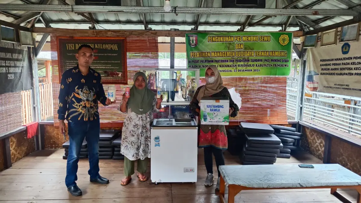 Ras Farm Sukoharjo I di Pringsewu, Lampung milik Dwi Nurhaeni.