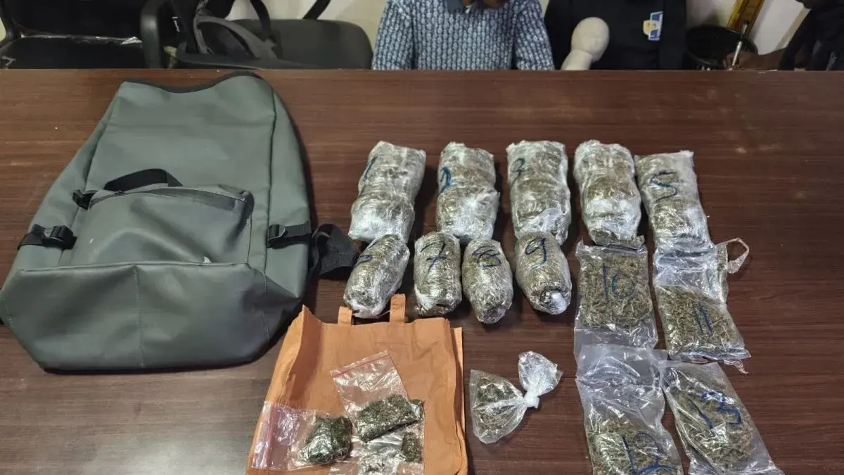 Polisi Amankan 3 Mahasiswa Pengedar Ganja, Barang Bukti Capai 1,4 Kg. (Antara/HO-Humas Polda Papua Barat)