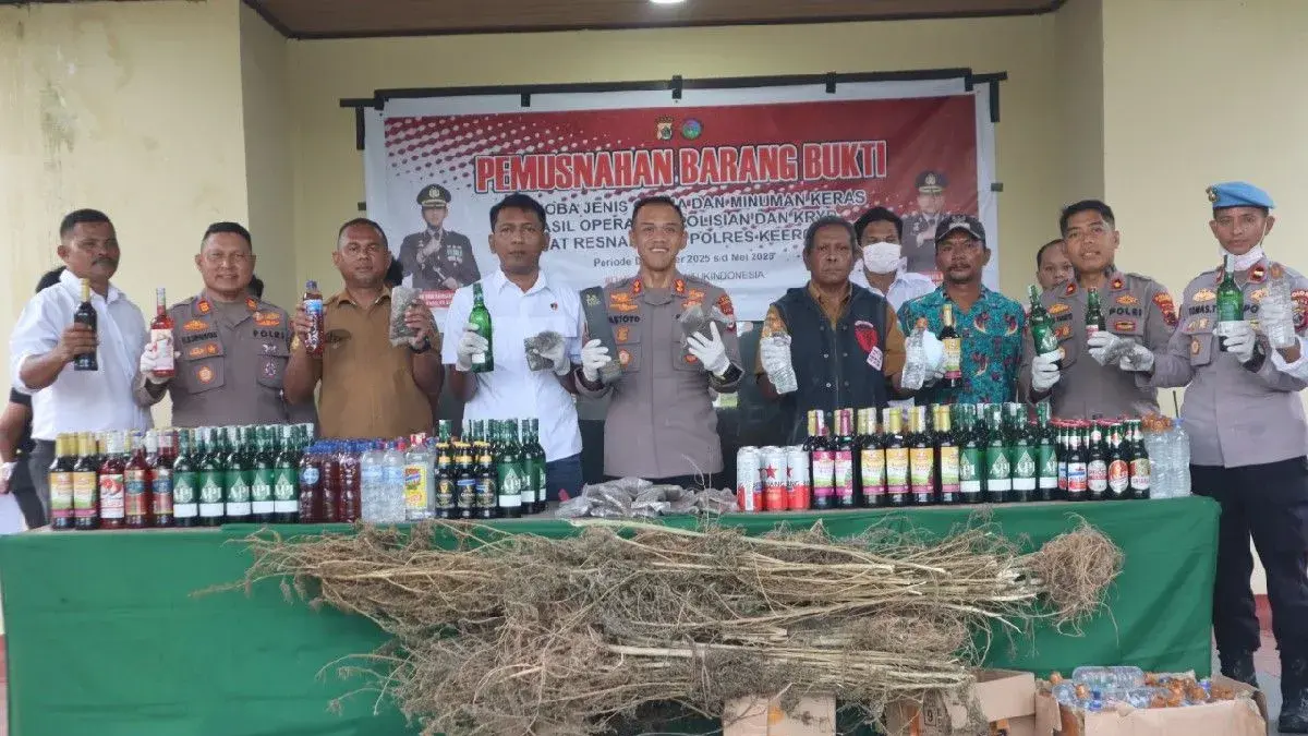 Polres Keerom Musnahkan 250 pohon ganja, 30 paket ganja dan 563 minuman beralkohol di Arso.( ANTARA/HO-Dok Polres Keerom)