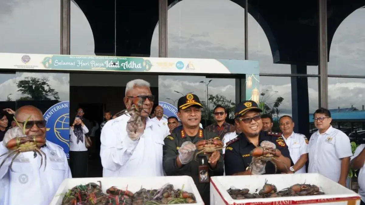 Bupati Johannes Rettob bersama Wakil Bupati Emanuel Kemong didampingi Kepala Bea Cukai Timika Yudi Amrullah dan Kepala Balai Karantina Papua Tengah Anton Panji Mahendra, menunjukkan komoditas kepiting bakau (karaka) yang hendak diekspor ke Malaysia, Rabu (13/5/2026). (ANTARA/Marselinus Nara)
