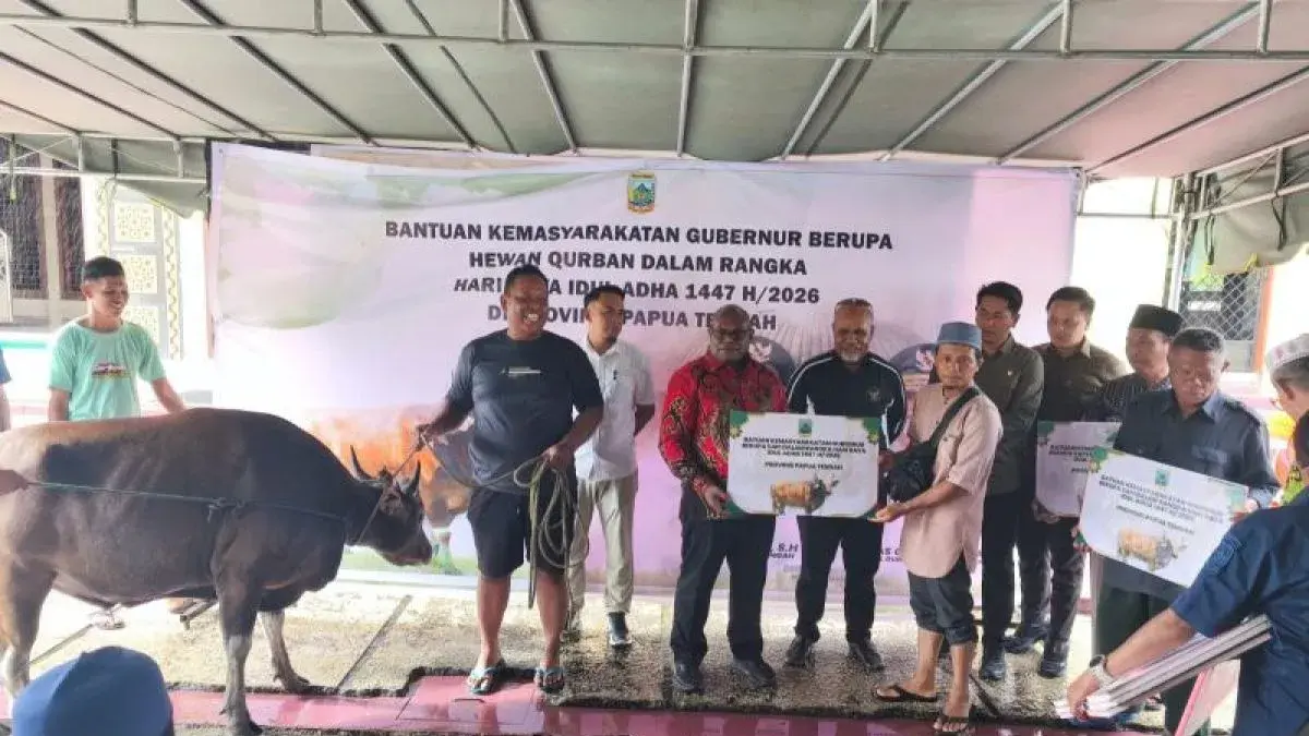 Gubernur Papua Tengah Meki Nawipa dan Wakil Gubernur Deinas Geley saat menyerahkan secara simbolis bantuan sapi kepada perwakilan DKM di Nabire, Minggu (24/5/2026). (Antara/Ali Nur Ichsan)
