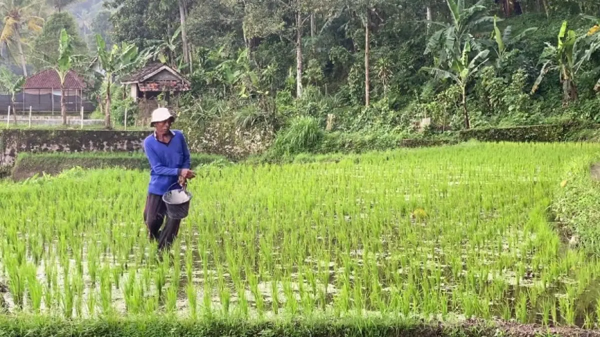 Ilustrasi Petani