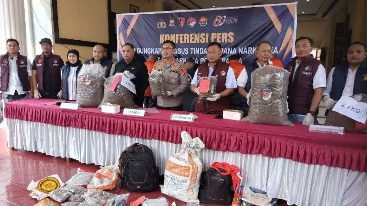 Penanganan kasus ganja di Jayapura, Sabtu (27/6/2026). (ANTARA/Evarukdijati)
