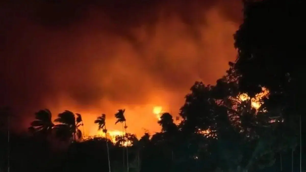 Kondisi kebakaran hutan dan lahan yang terjadi di Distrik Momiwaren, Kabupaten Manokwari Selatan, Provinsi Papua Barat, pada Minggu (23/8/2026). (ANTARA/Ho-Kema)
