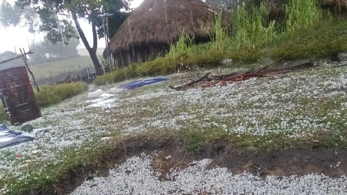 Hujan es yang melanda beberapa wilayah di Kabupaten Lanny Jaya, Papua Pegunungan. (ANTARA/HO-Dokumentasi)