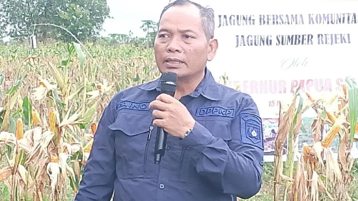 Kepala Dinas Pertanian,Pangan, Kelautan dan Perikanan (DP2KP) Papua Selatan Paino. (ANTARA/HO/Dokumentasi)