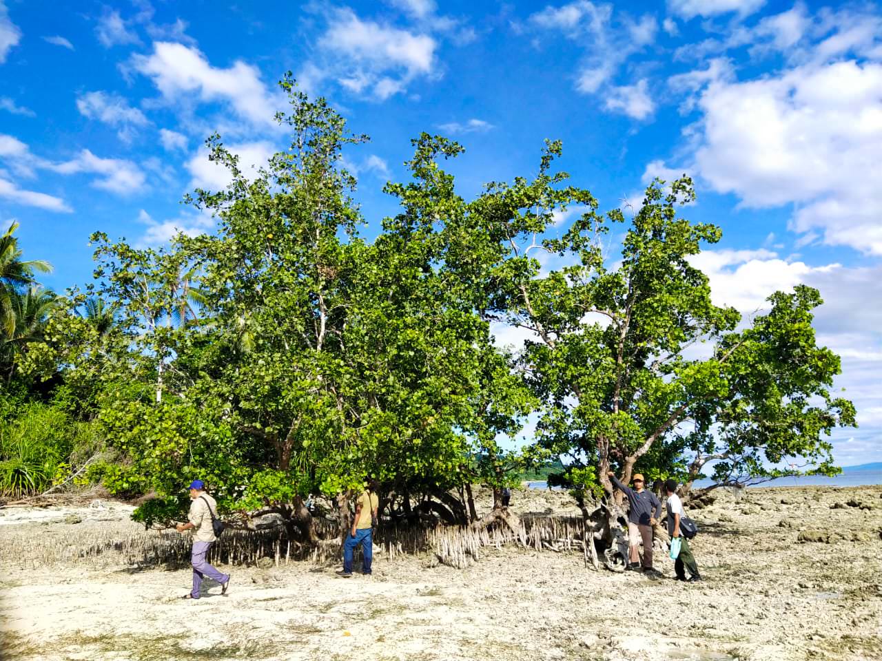 KAJI: Tim BPDASHL Remu Ransiki dan Dinas Lingkungan Hidup dan Pertanahan Kabupaten Manokwari melakukan survey di Pulau Nusmapi, Sabtu (29/5/21).  