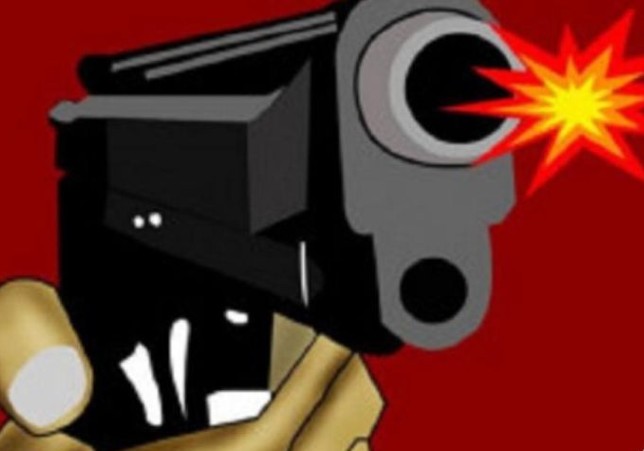 Ilustrasi kontak senjata TNI-KKB (Ardika/Antara)