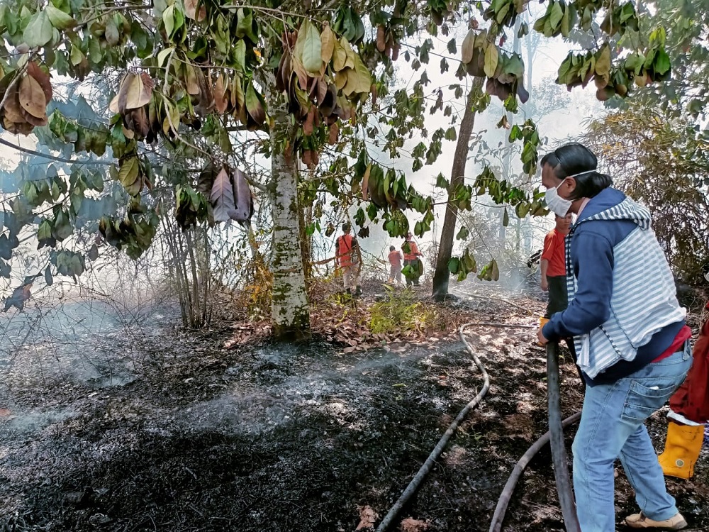 DOK BPBP NUNUKAN PADAMKAN API: Kebakaran lahan terjadi di dekat pemukiman warga di Jalan Pembangunan, Nunukan Barat.